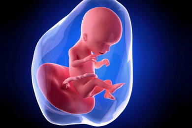 Weiterführende Informationen zur siebzehnten Schwangerschaftswoche - durch zu langes Stehen kann es nun zu Ischiasbeschwerden kommen