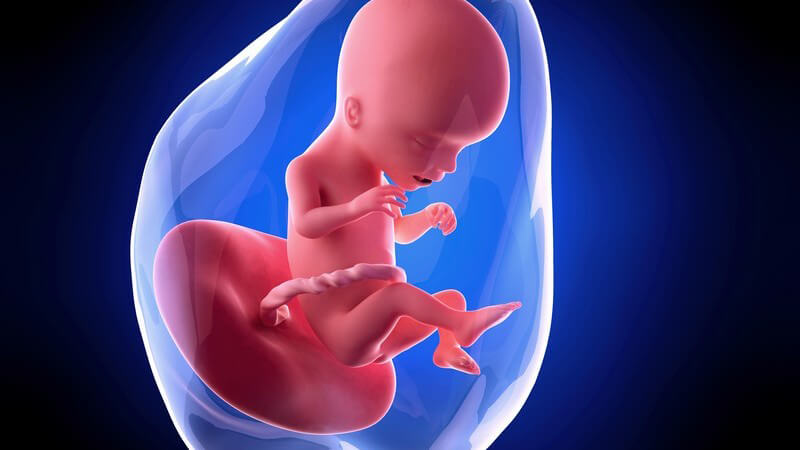 Weiterführende Informationen zur siebzehnten Schwangerschaftswoche - durch zu langes Stehen kann es nun zu Ischiasbeschwerden kommen