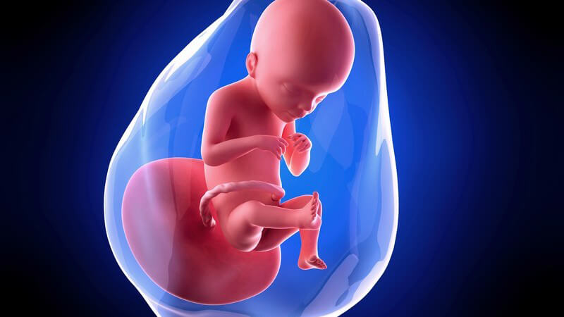 Weiterführende Informationen zur 21 Schwangerschaftswoche - in dieser Zeit schwitzen viele werdende Mütter besonders stark
