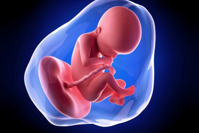 Weiterführende Informationen zur 22 Schwangerschaftswoche - nun sollte eine Entscheidung darüber gefällt werden, wo das Kind zur Welt kommen soll