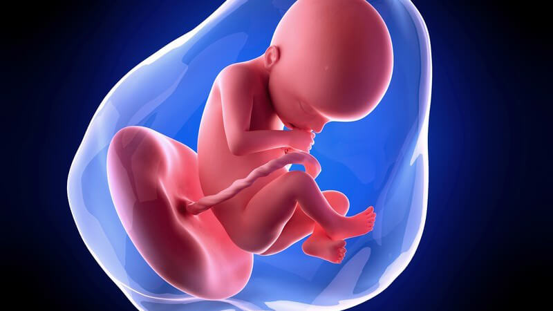 Weiterführende Informationen zur 22 Schwangerschaftswoche - nun sollte eine Entscheidung darüber gefällt werden, wo das Kind zur Welt kommen soll