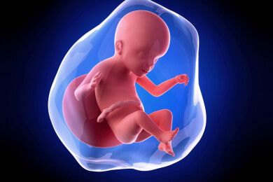 Weiterführende Informationen zur 23 Schwangerschaftswoche - mitunter kommt es jetzt vermehrt zu Schwindelanfällen