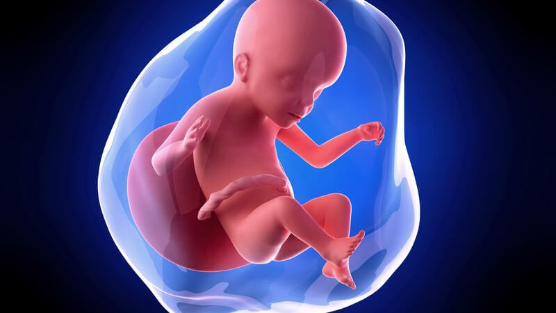 Weiterführende Informationen zur 23 Schwangerschaftswoche - mitunter kommt es jetzt vermehrt zu Schwindelanfällen
