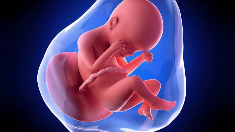 Weiterführende Informationen zur 24 Schwangerschaftswoche - zu diesem Zeitpunkt entwickelt das Baby bereits Geschmacksvorlieben