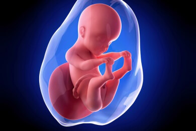 Weiterführende Informationen zur 25 Schwangerschaftswoche - in dieser Woche kommt es zur Entwicklung des Gleichgewichts