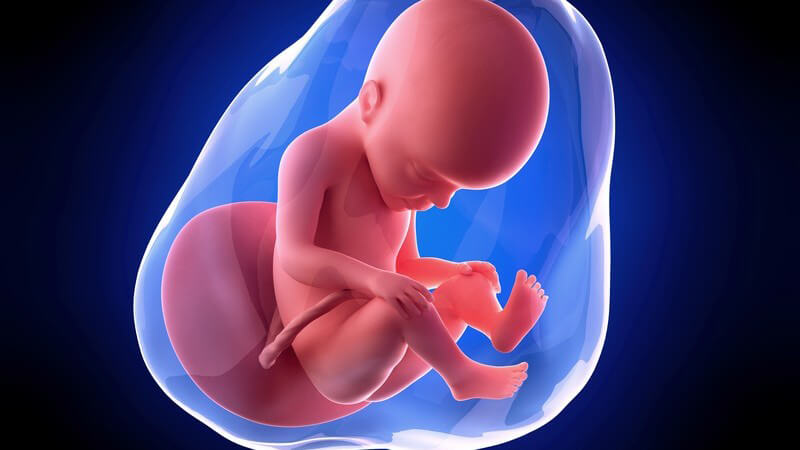 Weiterführende Informationen zur 27 Schwangerschaftswoche - Wassereinlagerungen bereiten jetzt vielen Schwangeren Beschwerden