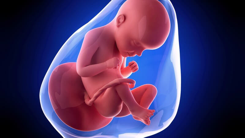 Weiterführende Informationen zur 29 Schwangerschaftswoche - einige Kinder nehmen bereits jetzt die endgültige Geburtsposition ein