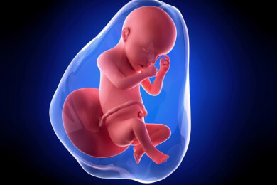 Weiterführende Informationen zur 30 Schwangerschaftswoche - in dieser Woche nehmen die Babys die Fötusstellung ein