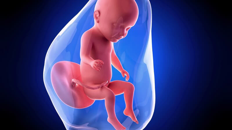 Weiterführende Informationen zur 31 Schwangerschaftswoche - Schwangere nehmen Kindsbewegungen nun seltener wahr