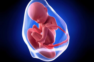 Weiterführende Informationen zur 33 Schwangerschaftswoche - ab jetzt ist es möglich, dass es zum so genannten Zeichnen kommt