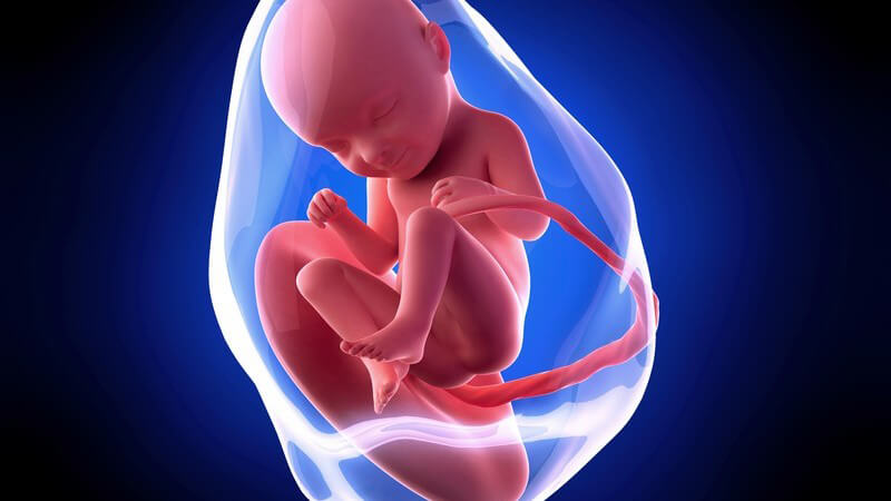 Weiterführende Informationen zur 33 Schwangerschaftswoche - ab jetzt ist es möglich, dass es zum so genannten Zeichnen kommt