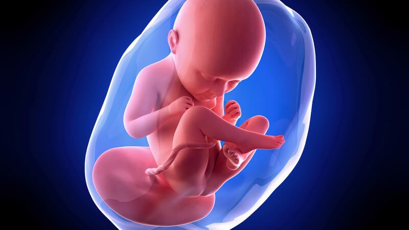 Weiterführende Informationen zur 35 Schwangerschaftswoche - die Geburtsvorbereitungskurse der Hebamme sind nun in den meisten Fällen beendet