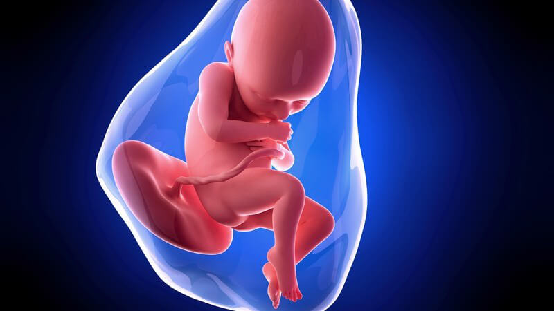 Weiterführende Informationen zur 36 Schwangerschaftswoche - nun kommt es in den meisten Fällen zum so genannten Einstellen