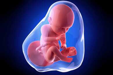 Weiterführende Informationen zur 37 Schwangerschaftswoche - das Baby würde nun bereits termingerecht zur Welt kommen
