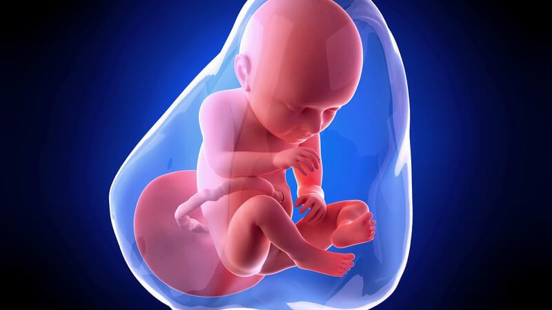 Weiterführende Informationen zur 37 Schwangerschaftswoche - das Baby würde nun bereits termingerecht zur Welt kommen
