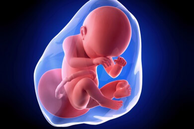 Weiterführende Informationen zur 38 Schwangerschaftswoche - in dieser Woche wird in der Regel ein geplanter Kaiserschnitt durchgeführt