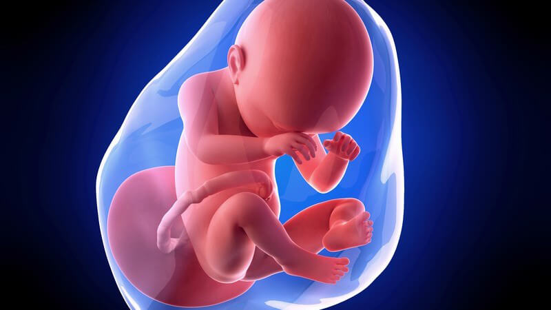 Weiterführende Informationen zur 38 Schwangerschaftswoche - in dieser Woche wird in der Regel ein geplanter Kaiserschnitt durchgeführt