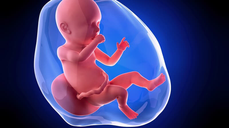 Weiterführende Informationen zur 40 Schwangerschaftswoche - diese Woche endet mit dem errechneten Geburtstermin