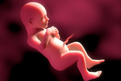 Weiterführende Informationen zur 41 Schwangerschaftswoche - rein rechnerisch ist die Schwangerschaft nun beendet und die Schwangere ist überfällig