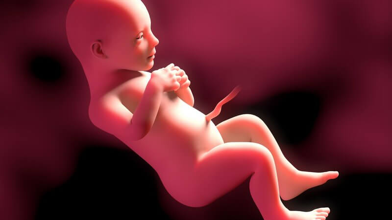 Weiterführende Informationen zur 41 Schwangerschaftswoche - rein rechnerisch ist die Schwangerschaft nun beendet und die Schwangere ist überfällig
