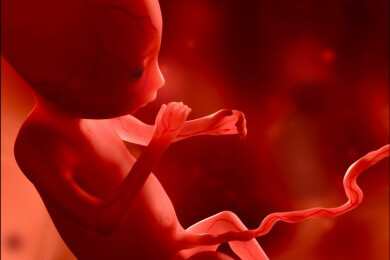 Wie kommt es zu einer Mangelversorgung des Babys während der Schwangerschaft und bei der Geburt?