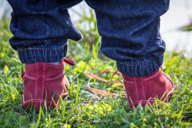Die kindliche Entwicklung im sechzehnten und siebzehnten Lebensmonat