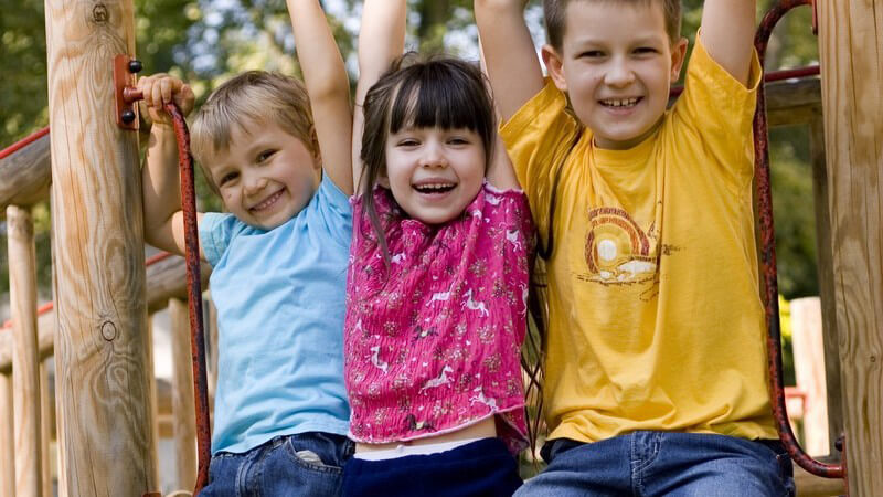 Regeln und Ziel der Kinderspiele "Alle Vögel fliegen hoch!" und "Tiere-Alphabet"