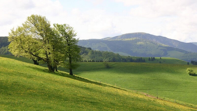 Der Talwind weht morgens und tagsüber, während der Bergwind abends, nachts und bis in die frühen Morgenstunden bemerkbar ist