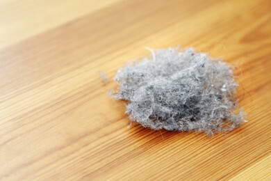 Wissenswertes für Bodenreiniger