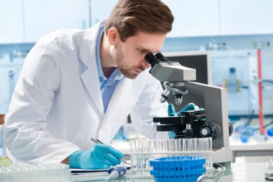 Die Fallstudie im Überblick