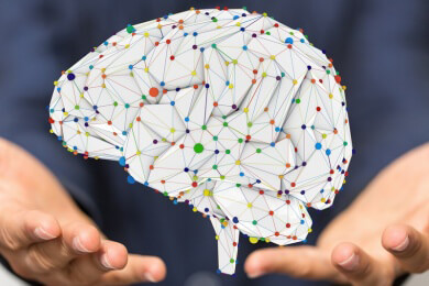 Gehirntraining mit Stimulierung aller fünf Sinne und Anregung der Gedächtniszellen