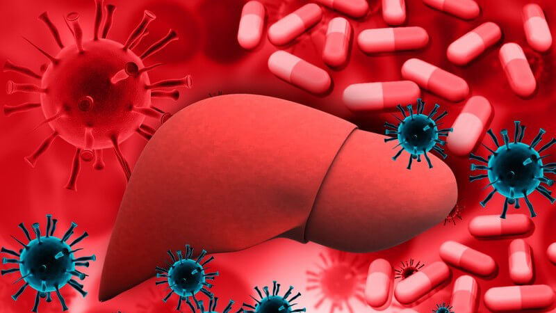 Die Entstehung einer Hepatitis E und wie man sie erkennen und behandeln kann