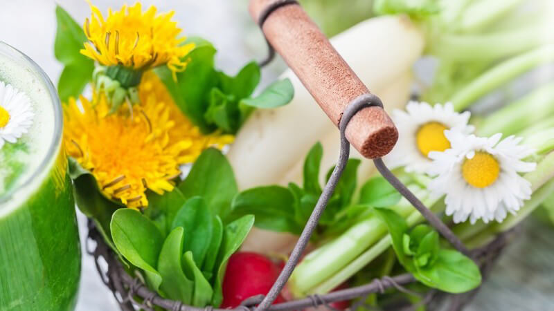 Tipps zum Sammeln, zur Verwendung sowie zum eigenen Anbau von wilden Kräutern