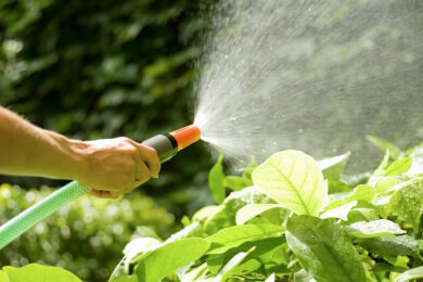 Gartenbewässerung - Hinweise und Tipps zu unterschiedlichen Bewässerungsmethoden