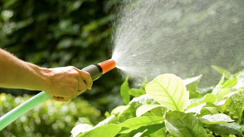 Zum Bewässern des Gartens eignen sich die klassische Gießkann sowie der Gartenschlauch - wer größere Flächen zu bewässern hat, wählt eher eine automatische Bewässerungsanlage