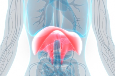 Zwerchfellbruch - Ursachen, Symptome und Behandlung