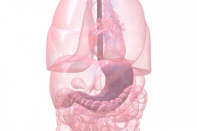Magenblutung (z.B. als Symptom schwerer innerer Erkrankungen) - Ursachen, Symptome und Behandlung
