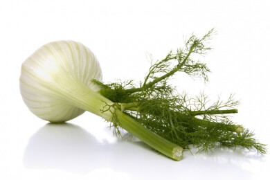 Fenchel in der Natur, Heilkunde und Küche