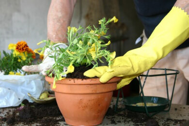 Blumentöpfe - Arten, Nutzen, Vor- und Nachteile und Gestaltungstipps