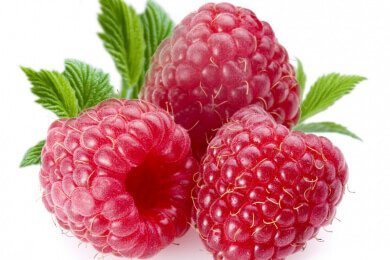 Die Himbeere in der Natur, Heilkunde und Küche