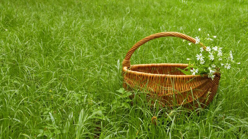 Geflochtene Körbe reinigen und pflegen