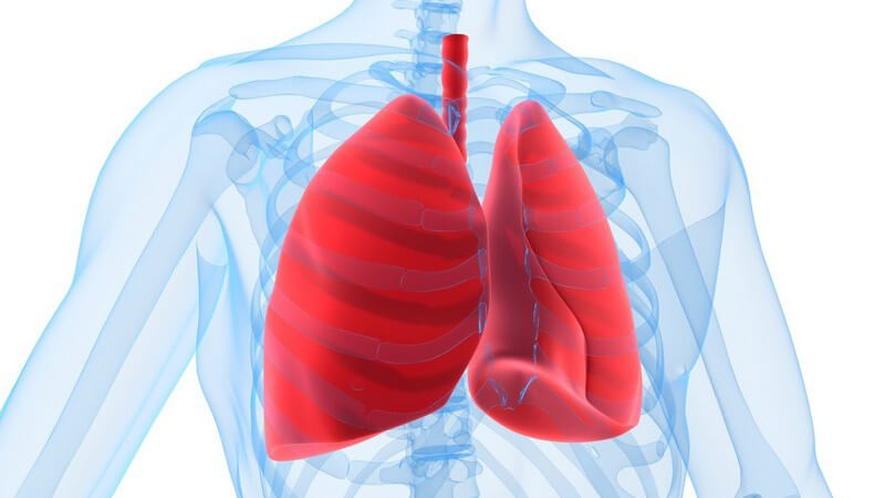 Funktion und Durchführung sowie mögliche Komplikationen der Ganzkörper-Plethysmographie zur Überprüfung der Lungenfunktion