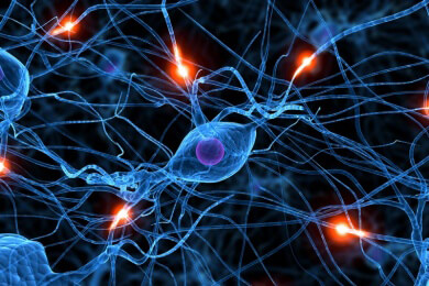 Anwendung und Ablauf einer neurologischen Untersuchung