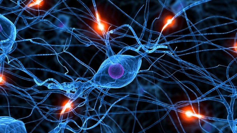 Funktion und Durchführung sowie mögliche Komplikationen der Überprüfung der Funktion der Nervenbahnen durch eine neurologische Untersuchung