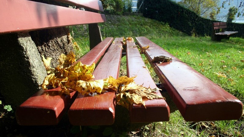 Wer sich eine Gartenbank zulegen möchte, hat die Wahl zwischen unterschiedlichen Materialien und Formen - richtig gemütlich wird sie mit den passenden Sitzauflagen