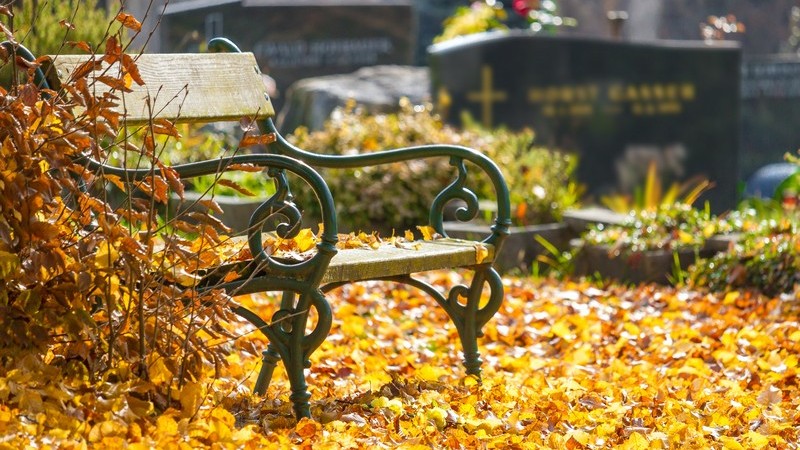 Verschiedene Bankarten und deren Materialien