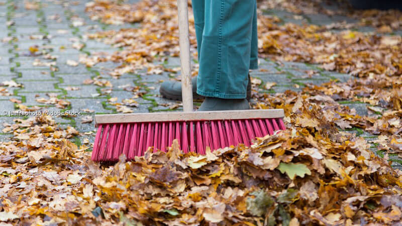 ᐅ Besen - Nutzen, Arten und Tipps zur Aufbewahrung