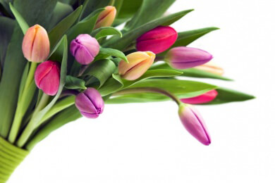 Blumenvasen - Arten, Merkmale und Tipps zum Standort