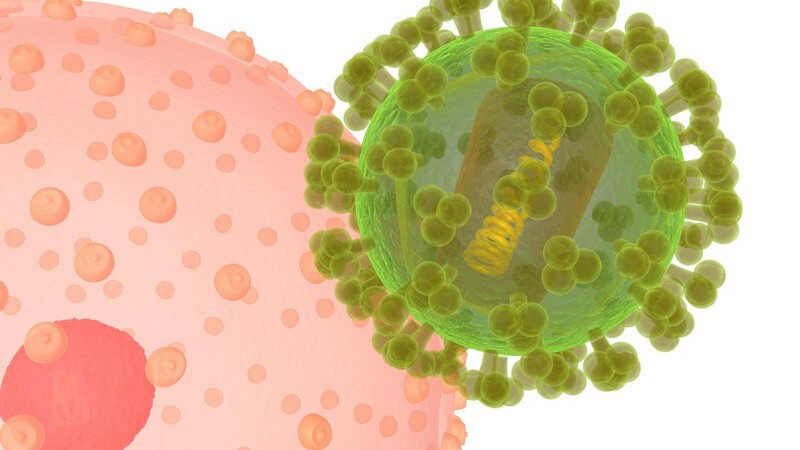 Funktion und Durchführung vom HIV-Test zum Nachweis des HI-Virus und zur Diagnose einer HIV-Infektion