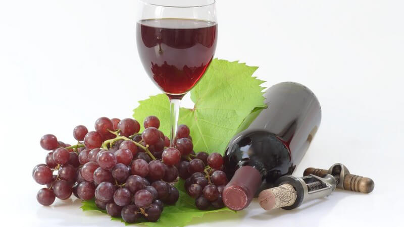 In roten Weintrauben enthaltene Polyphenole wirken Zahnfleischentzündungen entgegen und schützen vor freien Radikalen
